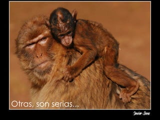 Otras, son serias... 