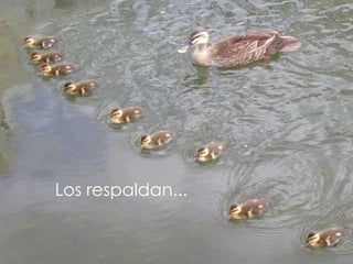 Los respaldan... 