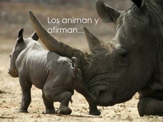 Los animan y  afirman... 