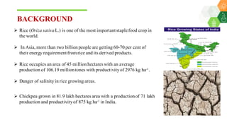 Mamatha, Kurku - Climate Food and Farming CLIFF Network annual workshop November 2017