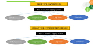 Mamatha, Kurku - Climate Food and Farming CLIFF Network annual workshop November 2017