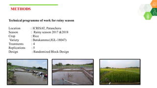 Mamatha, Kurku - Climate Food and Farming CLIFF Network annual workshop November 2017