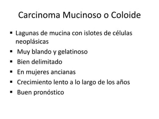  Lesión menor de 1 cm.