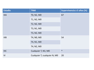 Consistencia blanda, carnosa.
