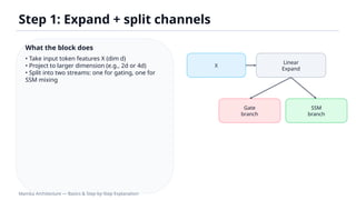 Mamba Architecture: Efficient Long-Sequence Modeling with Selective ...