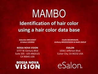 Sebastien BREUGNOT
& Robert GEORGE
BOSSA NOVA VISION
5777 W. Century Blvd
Suite 205 - LOS ANGELES
CA 90045 USA
Estelle BAUMHAUER,
Anthony BROZOZOWSKI & Rabih ZAOUK
ESALON
10361 Jefferson Blvd.
Culver City, CA 90232 USA
MAMBO
Identification of hair color
using a hair color data base
 