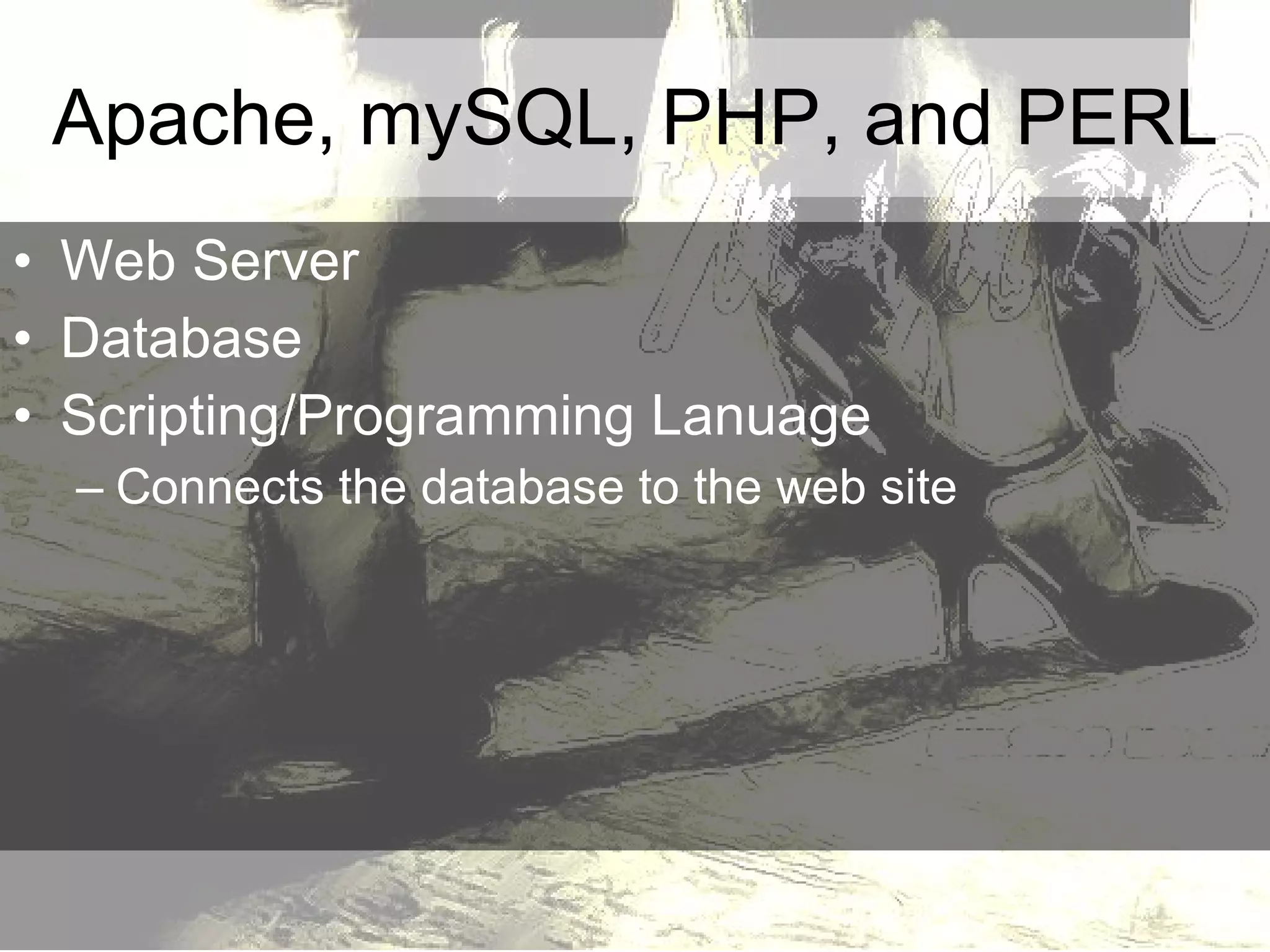 Apache, mySQL, PHP, and PERL Web Server Database Scripting/Programming Lanuage Connects the database to the web site 