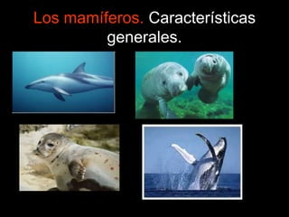 Los mamíferos. Características
generales.
 