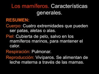 Los mamíferos. Características
generales.
RESUMEN:
Cuerpo: Cuatro extremidades que pueden
ser patas, aletas o alas.
Piel: Cubierta de pelo, salvo en los
mamíferos marinos, para mantener el
calor.
Respiración: Pulmonar.
Reproducción: Vivíparos. Se alimentan de
leche materna a través de las mamas.
 