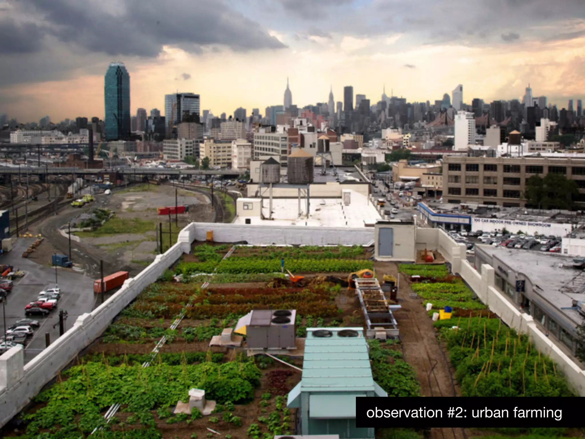observation #2: urban farming
 