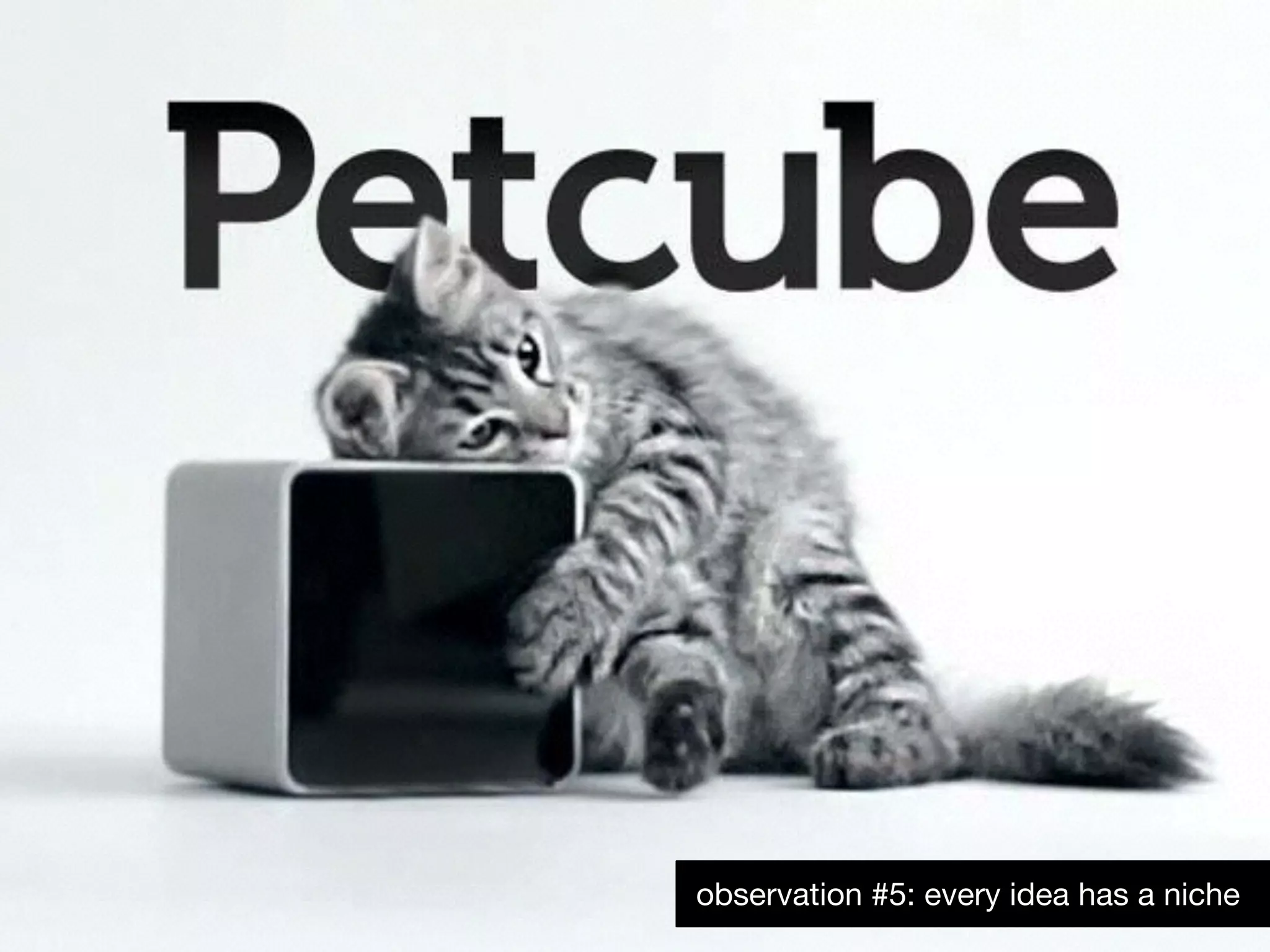 observation #5: every idea has a niche
 