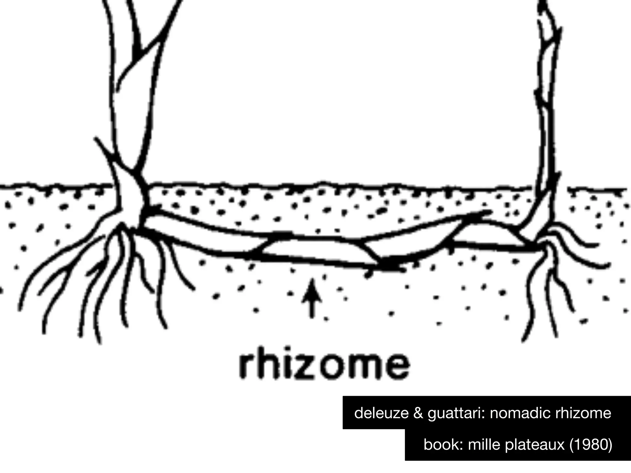book: mille plateaux (1980)
deleuze & guattari: nomadic rhizome
 