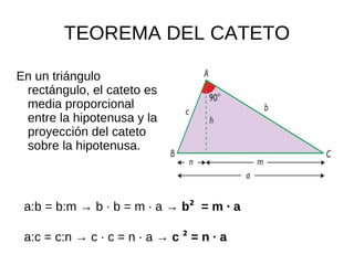TEOREMA DEL CATETO

En un triángulo
 rectángulo, el cateto es
 media proporcional
 entre la hipotenusa y la
 proyección del cateto
 sobre la hipotenusa.



 a:b = b:m → b · b = m · a → b² = m · a

 a:c = c:n → c · c = n · a → c ² = n · a
 