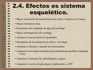2.4. Efectos es sistema esquelético. •  Mayor activación del metabolismo del calcio y fósforo en el hueso  •  Mayor resistencia ósea.  •  Incremento del contenido de agua del cartílago  •  Mejor amortiguación del cartílago  •  Aumenta la fuerza tensil de ligamentos  •  Incremento de la resistencia al estrés y a la carga  •  Aumenta el número y tamaño de mitocondrias  •  Aumenta la actividad enzimática del metabolismo aeróbico (aumenta VO2)  •  Aumenta el consumo de carbohidratos y grasas  •  Aumenta la reserva de glucógeno, triglicéridos y ATP.   
