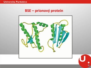 BSE	
  –	
  prionový	
  protein	
  
 