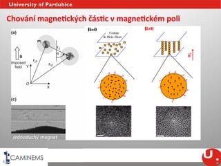 Chování	
  magneEckých	
  čásEc	
  v	
  magneEckém	
  poli	
  	
  	
  




  Jednoduchý	
  magnet	
  
 