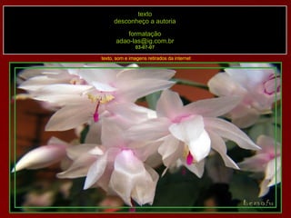 texto desconheço a autoria formatação [email_address] 03-07-07 texto, som e imagens retirados da internet 