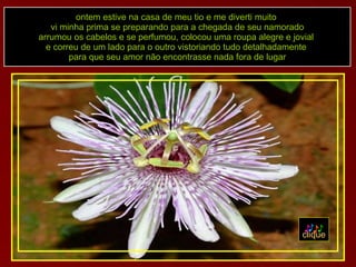 ontem estive na casa de meu tio e me diverti muito  vi minha prima se preparando para a chegada de seu namorado arrumou os cabelos e se perfumou, colocou uma roupa alegre e jovial  e correu de um lado para o outro vistoriando tudo detalhadamente  para que seu amor não encontrasse nada fora de lugar a clique 