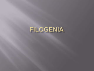 Filogenia