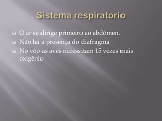 Sistema respiratorioO ar se dirige primeiro ao abdômen.Não há a presença do diafragmaNo vôo as aves necessitam 15 vezes mais oxigênio