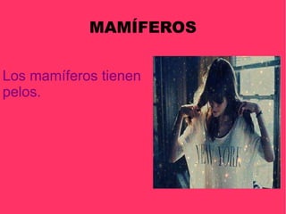 MAMÍFEROS Los mamíferos tienen pelos. 