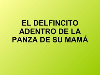 EL DELFINCITO ADENTRO DE LA PANZA DE SU MAMÁ 