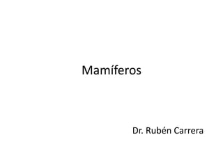 Mamíferos



       Dr. Rubén Carrera
 
