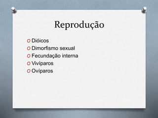 Reprodução
O Dióicos
O Dimorfismo sexual
O Fecundação interna
O Vivíparos
O Ovíparos
 