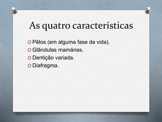As quatro características
O Pêlos (em alguma fase da vida).
O Glândulas mamárias.
O Dentição variada.
O Diafragma.
 