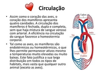 Circulação
• Assim como o coração das aves, o
coração dos mamíferos apresenta
quatro cavidades. A circulação dos
mamíferos é fechada, dupla e completa,
sem que haja mistura de sangue venoso
com arterial. A eficiência na circulação
do sangue favorece a homeotermia
corporal.
• Tal como as aves, os mamíferos são
endotérmicos ou homeotérmicos, o que
lhes permite permanecer ativos mesmo
a temperaturas muito elevadas ou muito
baixas. Este fato justifica a sua larga
distribuição em todos os tipos de
habitats, mais vasta que qualquer outro
animal (exceto as aves).
 