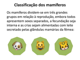 Classificação dos mamíferos
Os mamíferos dividem-se em três grandes
grupos em relação à reprodução, embora todos
apresentem sexos separados, a fecundação seja
interna e as crias sejam alimentadas com leite
secretado pelas glândulas mamárias da fêmea:
 
