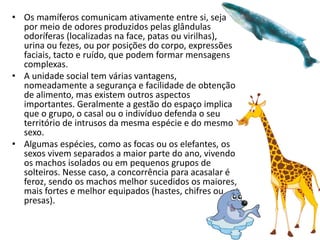 • Os mamíferos comunicam ativamente entre si, seja
por meio de odores produzidos pelas glândulas
odoríferas (localizadas na face, patas ou virilhas),
urina ou fezes, ou por posições do corpo, expressões
faciais, tacto e ruído, que podem formar mensagens
complexas.
• A unidade social tem várias vantagens,
nomeadamente a segurança e facilidade de obtenção
de alimento, mas existem outros aspectos
importantes. Geralmente a gestão do espaço implica
que o grupo, o casal ou o indivíduo defenda o seu
território de intrusos da mesma espécie e do mesmo
sexo.
• Algumas espécies, como as focas ou os elefantes, os
sexos vivem separados a maior parte do ano, vivendo
os machos isolados ou em pequenos grupos de
solteiros. Nesse caso, a concorrência para acasalar é
feroz, sendo os machos melhor sucedidos os maiores,
mais fortes e melhor equipados (hastes, chifres ou
presas).
 