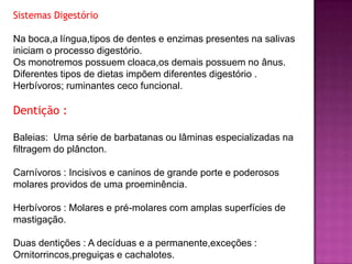 Sistemas Digestório
Na boca,a língua,tipos de dentes e enzimas presentes na salivas
iniciam o processo digestório.
Os monotremos possuem cloaca,os demais possuem no ânus.
Diferentes tipos de dietas impõem diferentes digestório .
Herbívoros; ruminantes ceco funcional.
Dentição :
Baleias: Uma série de barbatanas ou lâminas especializadas na
filtragem do plâncton.
Carnívoros : Incisivos e caninos de grande porte e poderosos
molares providos de uma proeminência.
Herbívoros : Molares e pré-molares com amplas superfícies de
mastigação.
Duas dentições : A decíduas e a permanente,exceções :
Ornitorrincos,preguiças e cachalotes.
 