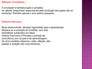 Sistema Circulatório :
A circulação é fechada,dupla e completa.
As células sanguíneas responsáveis pela condução dos gases são as
hemácias. Persiste apenas o arco aórtico esquerdo .
Sistema Nervoso :
Muito desenvolvido, elevada capacidade para o aprendizado;
Destaca-se a evolução do encéfalo, com dois
hemisférios subdividos em lobos.
Ordens Carnívora e Primates o período de
convivência com os pais é de aprendizagem,
Os cinco sentidos clássicos, visão, olfação, tato,
paladar e audição são mais eficientes.
 