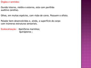 Órgãos e sentidos:
Ouvido interno, médio e externo, este com pavilhão
auditivo (orelha).
Olhos, em muitas espécies, com visão de cores. Possuem o olfato.
Paladar bem desenvolvidos e, ainda, a superfície do corpo
com inúmeras estruturas sensoriais.
Ecolocalização : Mamíferos marinhos;
Quirópteros ;
 