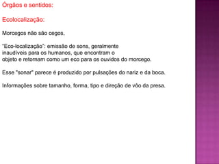 Órgãos e sentidos:
Ecolocalização:
Morcegos não são cegos,
“Eco-localização”: emissão de sons, geralmente
inaudíveis para os humanos, que encontram o
objeto e retornam como um eco para os ouvidos do morcego.
Esse "sonar" parece é produzido por pulsações do nariz e da boca.
Informações sobre tamanho, forma, tipo e direção de vôo da presa.
 