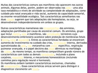 Muitas das características comuns aos mamíferos não aparecem nos outros
animais. Algumas delas, porém, podem ser observadas nas aves – uma alta
taxa metabólica e níveis de atividade ou complexidade de adaptações, como
cuidado pós-natal avançado e vida social, aumento da capacidade sensorial,
ou enorme versatilidade ecológica. Tais características semelhantes nas
duas classes sugerem que tais adaptações são homoplasias, ou seja, se
desenvolveram independentemente em ambos os grupos.
Outras características mamalianas são sinapomorfias dos amniotas,
adaptações partilhadas por causa do ancestral comum. Os amniotas, grupo
que inclui répteis, aves e mamíferos, são vertebrados terrestres cujo
desenvolvimento embrionário acontece sobre proteção de membranas fetais
(âmnio, cório e alantóide). Entres as características herdadas se encontram
aumento do investimento no cuidado das crias, fertilização interna, derivados
queratinizados da pele, rins metanefros com ureter específico, respiração
pulmonar avançada, e o papel decisivo dos ossos dérmicos na morfologia
do crânio. Ao mesmo tempo, os mamíferos compartilham grande número de
características com todos os demais vertebrados, incluindo o plano
corpóreo, esqueleto interno, e mecanismos homeostáticos (incluindo
caminhos para regulação neural e hormonal).
Os mamíferos exibem também características exclusivas, chamadas
de autapomorfias. Essas características únicas servem para distinguir e
diagnosticar claramente um táxon.
 