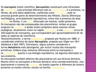 Os marsupiais (latim científico: Marsupialia) constituem uma infraclasse
de mamíferos, cuja principal diferença com os placentários, é a presença, na
fêmea, de uma bolsa abdominal, conhecida como marsúpio , onde se
processa grande parte do desenvolvimento dos filhotes. Outras diferenças
morfológicas, principalmente reprodutivas, entre elas a presença de duas
vaginas na fêmea, e um pênis bifurcado nos machos, estão presentes.
Os marsupiais não são antepassados dos placentários. Ambos os grupos
surgiram no Cretáceo e desde então competem pelos mesmos nichos
ecológicos. Atualmente vivem na região Australiana e nas Américas cerca de
320 espécies de marsupiais, que correspondem por aproximadamente 6% de
todas as espécies de mamíferos.
Taxonomicamente, o termo Metatheria, proposto por Huxley em 1880, é
considerado sinônimo do táxon Marsupialia, proposto por Illiger em 1811
(McKenna e Bell 1997). Entretanto, alguns autores consideram o
termo Metatheria mais abrangente, por incluir muitos dos marsupiais
primitivos. Embora haja inúmeras diferenças entre os marsupiais e
os placentários quanto à sua biologia reprodutiva, há algumas distinções na
sua anatomia.
Os marsupiais também diferem dos placentários em sua fórmula dentária.
Mesmo entre os marsupiais a fórmula dentária varia consideravelmente, mas
basicamente o número de incisivos na maxila superior é diferente do número
presente na maxila inferior, exceto na família Vombatidae.
 
