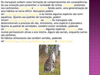 Os marsupiais exibem vasta formação de comportamentos em conseqüências
de sua evolução para preencher a variedade de nichos ecológicospresentes
nos continentes americano e australiano. Sendo assim, uma generalização de
seus hábitos se torna difícil. Marsupiais podem
ser arbóreos,terrestres, fossoriais e ao menos algumas espécies são semi-
aquáticas. Quanto aos padrões de locomoção, podem
incluir: andar, escalar, cavar,correr ou nadar. Os marsupiais não
desenvolveram o processo do vôo, entretanto, uma espécie é planadora.
Quanto ao padrão de atividades, também existe variedade, podendo
ser diurnos, noturnos ou crepusculares. Algumas espécies hibernam, mas
muitas permanecem ativas o ano inteiro. Alguns são sociais, enquanto outros
são solitários.
Os hábitos alimentares são também sortidos, podendo
ser herbívoros, carnívoros, insetívoros, onívoros e nectarívoros.
 
