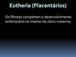 Os filhotes completam o desenvolvimento
embrionário no interior do útero materno;

 