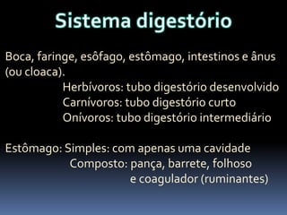 Boca, faringe, esôfago, estômago, intestinos e ânus
(ou cloaca).
Herbívoros: tubo digestório desenvolvido
Carnívoros: tubo digestório curto
Onívoros: tubo digestório intermediário
Estômago: Simples: com apenas uma cavidade
Composto: pança, barrete, folhoso
e coagulador (ruminantes)

 