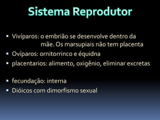  Vivíparos: o embrião se desenvolve dentro da

mãe. Os marsupiais não tem placenta
 Ovíparos: ornitorrinco e équidna
 placentarios: alimento, oxigênio, eliminar excretas
 fecundação: interna
 Dióicos com dimorfismo sexual

 