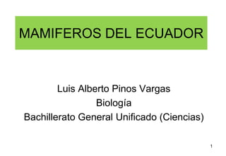 MAMIFEROS DEL ECUADOR


        Luis Alberto Pinos Vargas
                 Biología
Bachillerato General Unificado (Ciencias)

                                            1
 