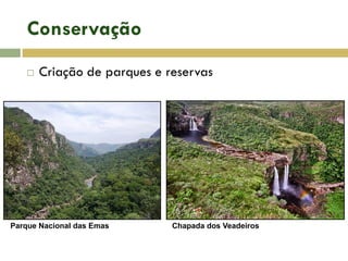Conservação
 Criação de parques e reservas
Parque Nacional das Emas Chapada dos Veadeiros
 