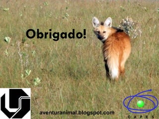 Obrigado!
aventuranimal.blogspot.com
 