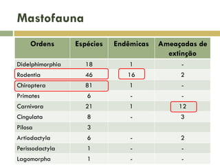 Mastofauna
Ordens Espécies Endêmicas Ameaçadas de
extinção
Didelphimorphia 18 1 -
Rodentia 46 16 2
Chiroptera 81 1 -
Primates 6 - -
Carnivora 21 1 12
Cingulata 8 - 3
Pilosa 3
Artiodactyla 6 - 2
Perissodactyla 1 - -
Lagomorpha 1 - -
 