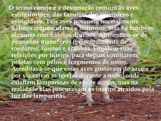 O termo coruja é a designação comum às aves estrigiformes, das famílias dos titonídeos e estrigídeos. Tais aves possuem normalmente hábitos crepusculares e noturnos, mas há também algumas com hábitos diurnos. Alimentam-se de pequenos mamíferos (principalmente de roedores), insetos e aranhas. Engolem suas refeições por inteiro, para depois vomitarem pelotas com pêlos e fragmentos de ossos. Acreditava-se que essas aves gostavam de azeite por visitarem as igrejas durante a noite, onde existiam lamparinas de azeite acesas, mas na realidade elas procuravam os insetos atraídos pela luz das lamparinas. 