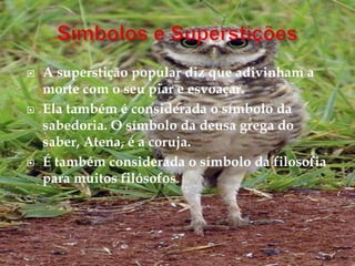 Símbolos e SuperstiçõesA superstição popular diz que adivinham a morte com o seu piar e esvoaçar.Ela também é considerada o símbolo da sabedoria. O símbolo da deusa grega do saber, Atena, é a coruja. É também considerada o símbolo da filosofia para muitos filósofos.