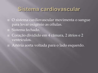 Sistema cardiovascularO sistema cardiovascular movimenta o sangue para levar oxigênio as células.Sistema fechado.Coração dividido em 4 câmara, 2 átrios e 2 ventrículos.Artéria aorta voltada para o lado esquerdo.
