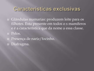 Características exclusivasGlândulas mamarias: produzem leite para os filhotes. Esta presente em todos o s mamíferos e é a característica que da nome a essa classe.Pelos.Presença de nariz/focinho.Diafragma. 